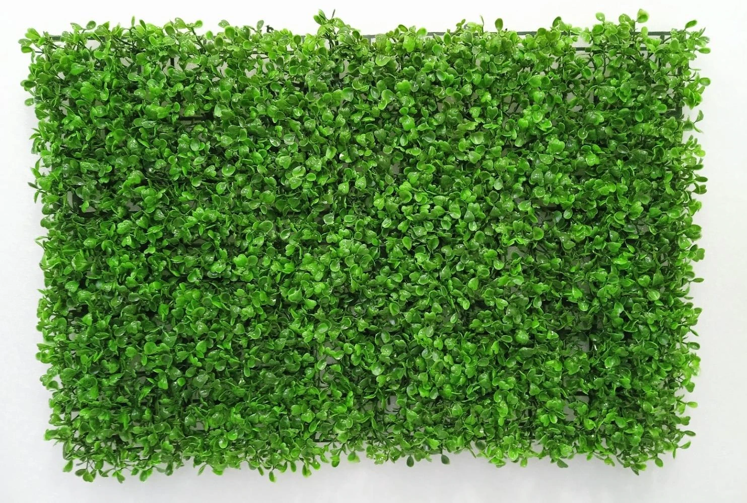 Boxwood Mat 2x4x247 Heavy
